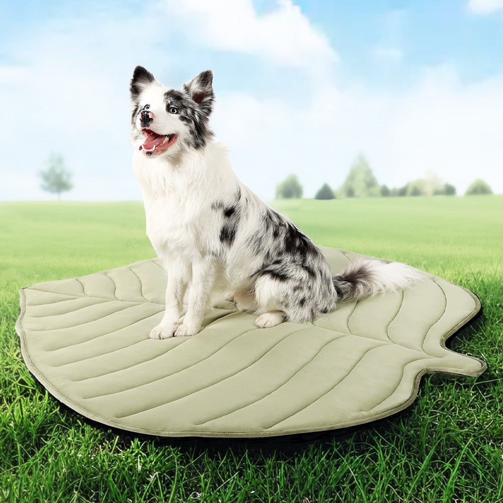 Leaf-Shaped Cooling Pet Mat