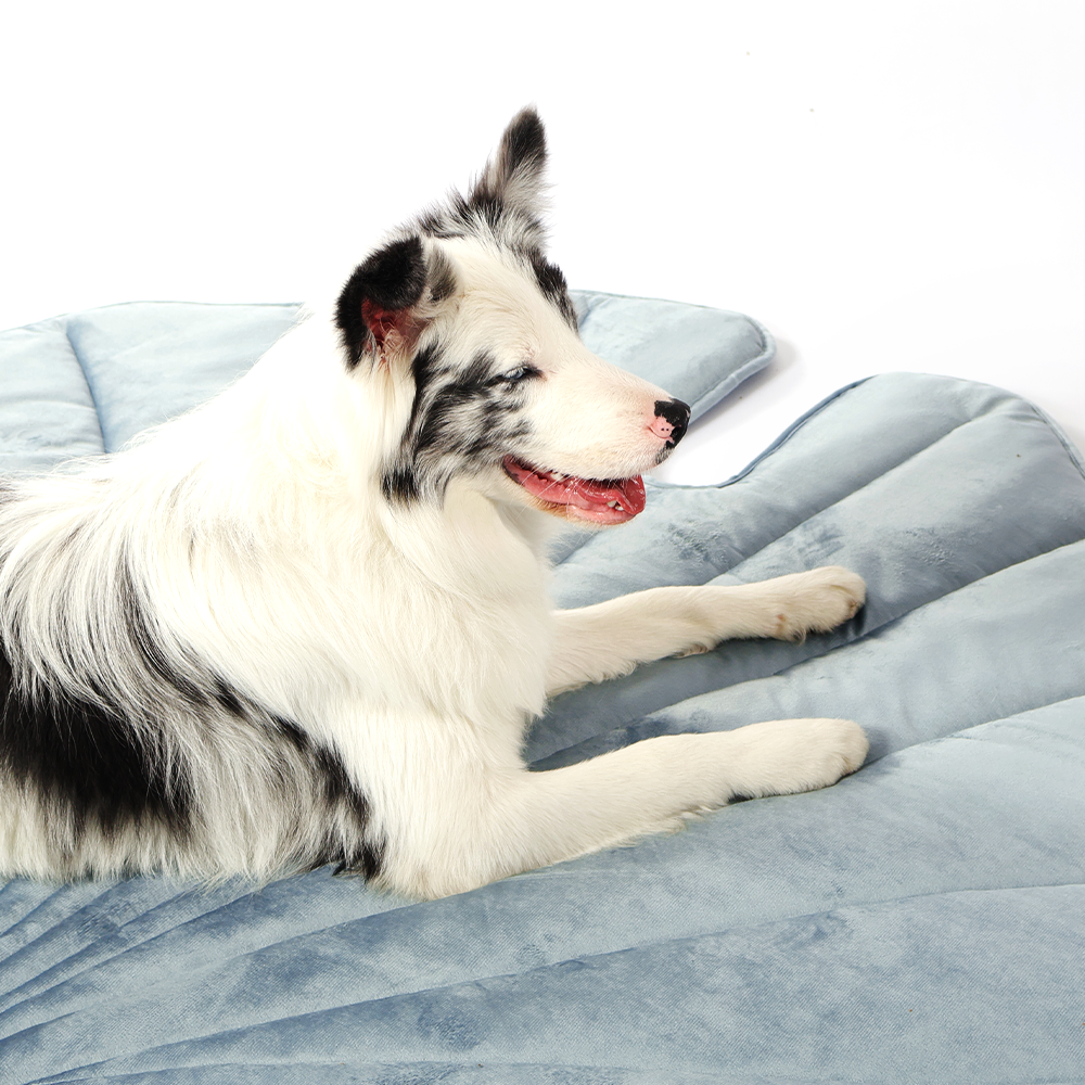 Leaf-Shaped Cooling Pet Mat