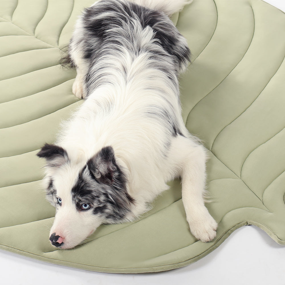 Leaf-Shaped Cooling Pet Mat
