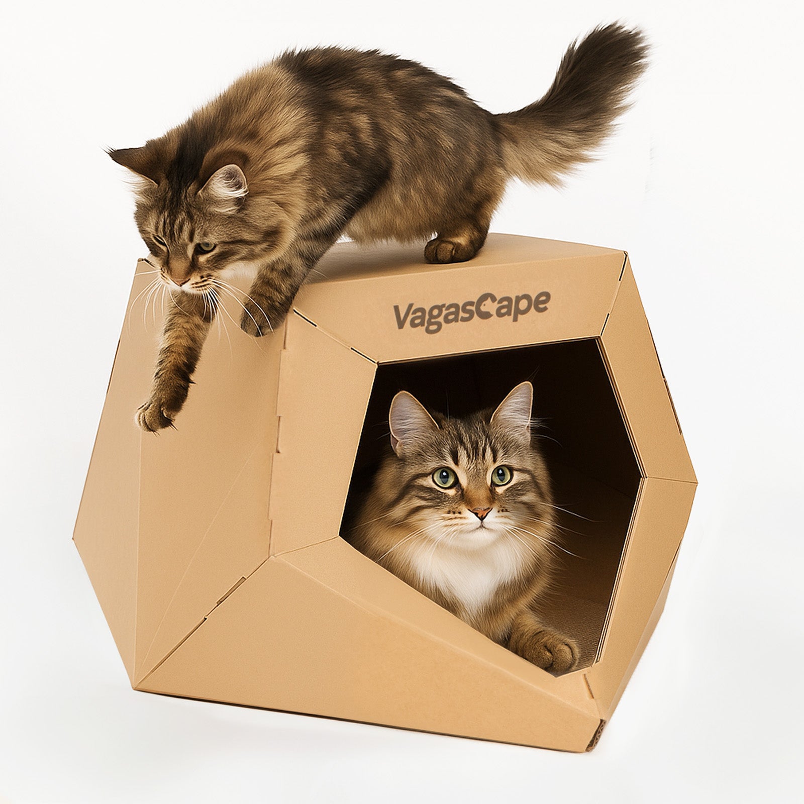 Cardboard Cat Scratcher House