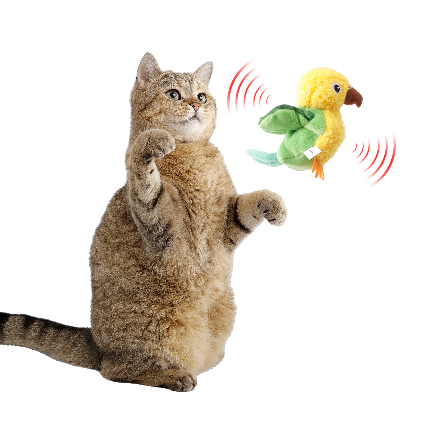 Flapping Bird pet toy