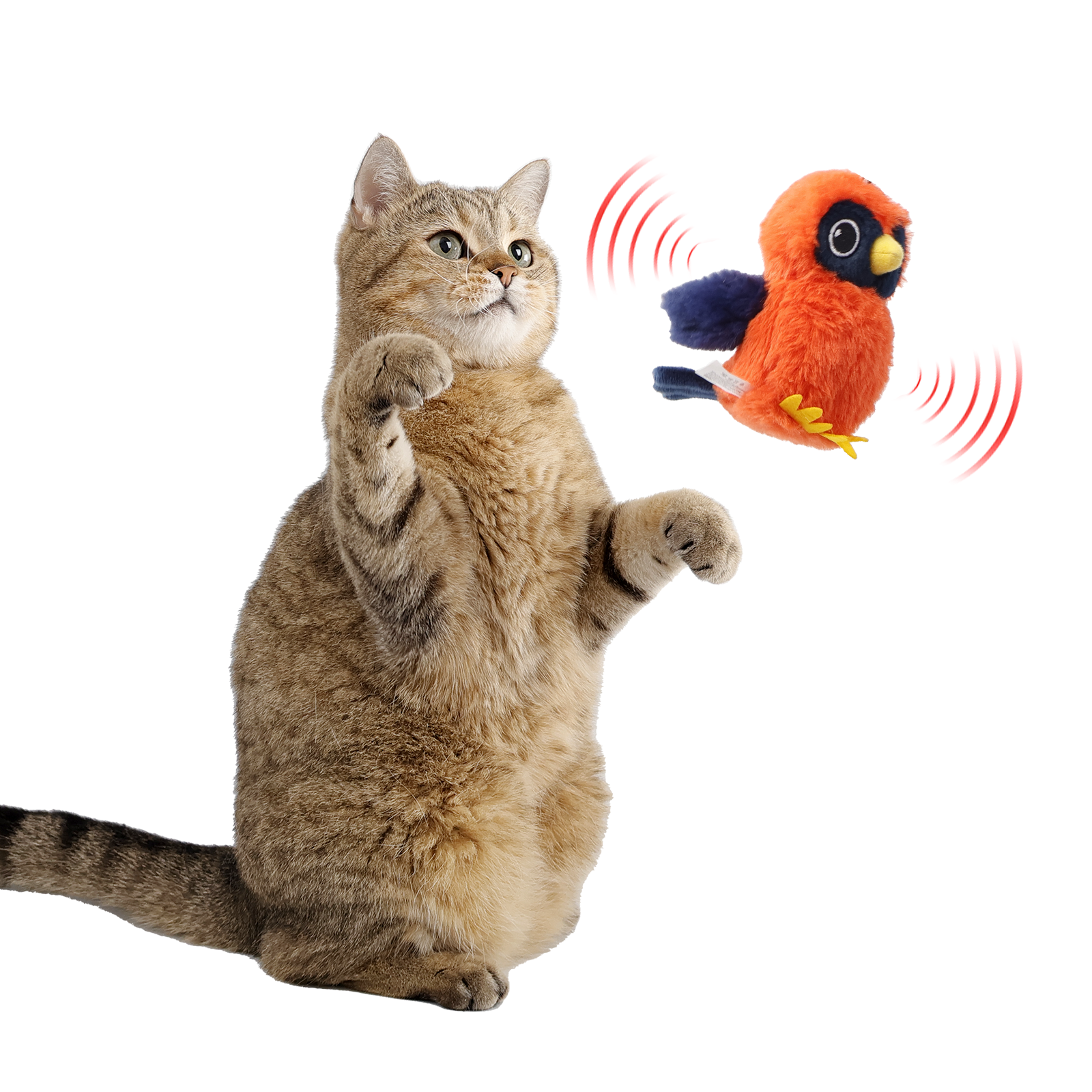 Flapping Bird pet toy