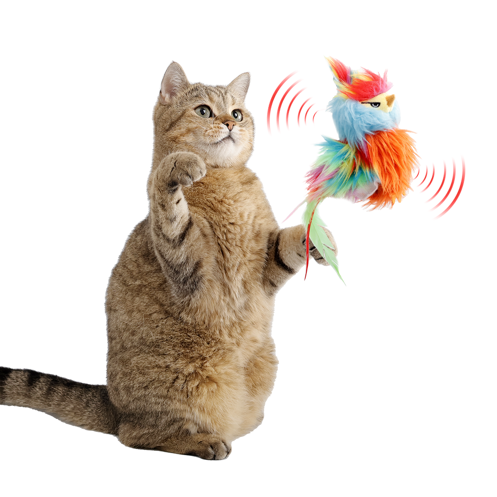 Flapping Bird pet toy