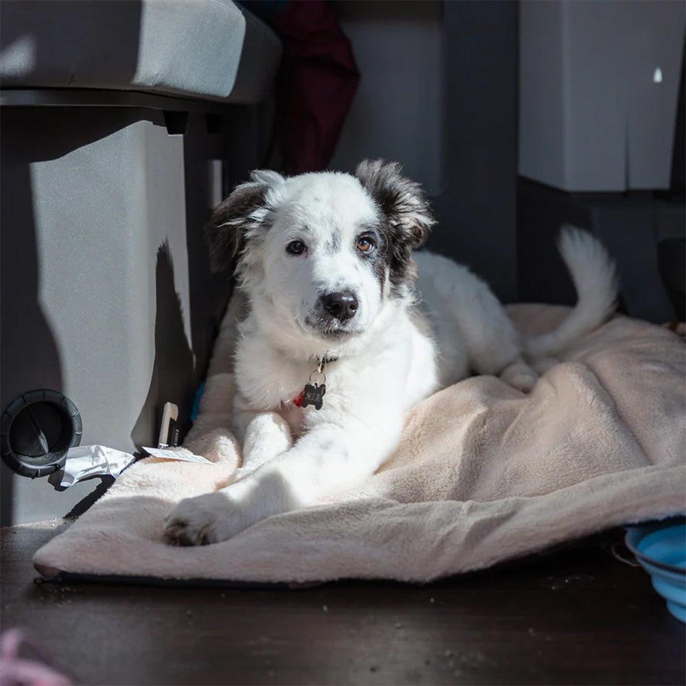 USB Heated Pet Mat