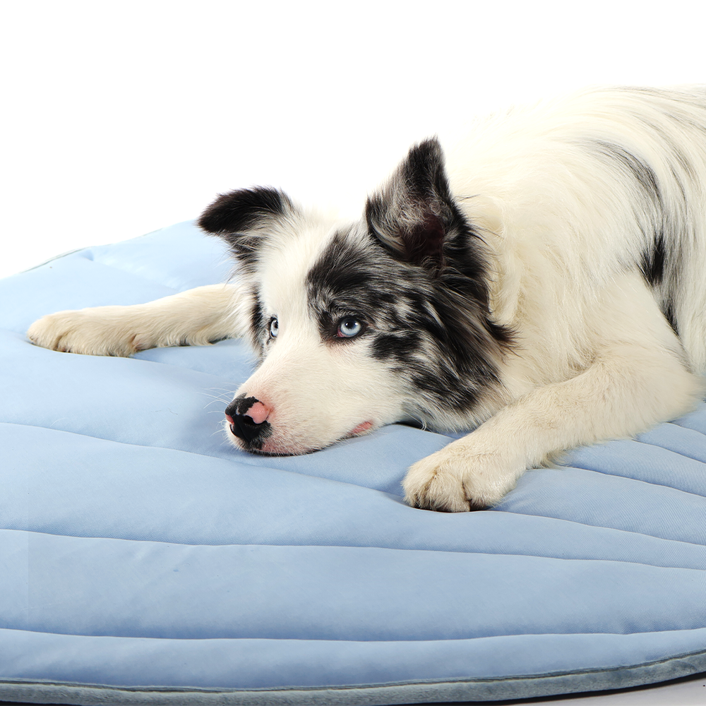 Leaf-Shaped Cooling Pet Mat