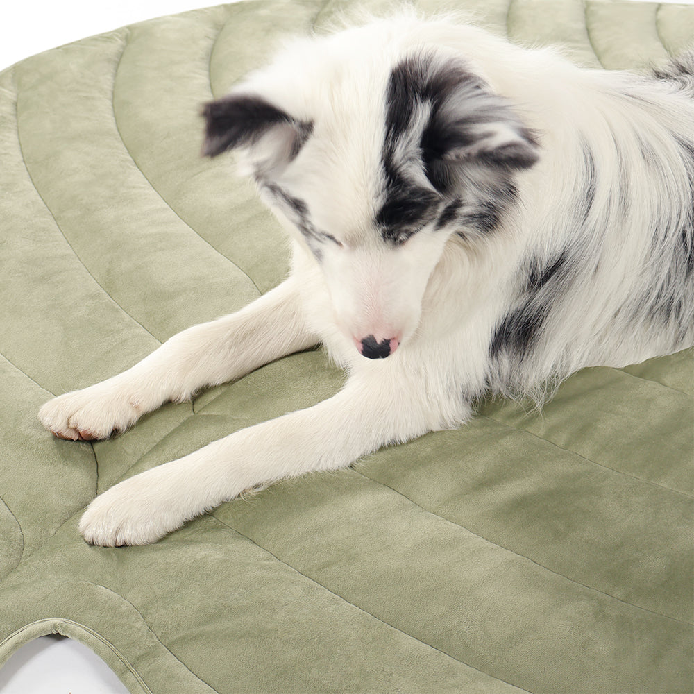 Leaf-Shaped Cooling Pet Mat