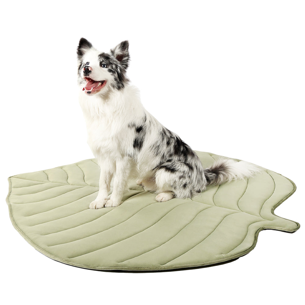 Leaf-Shaped Cooling Pet Mat